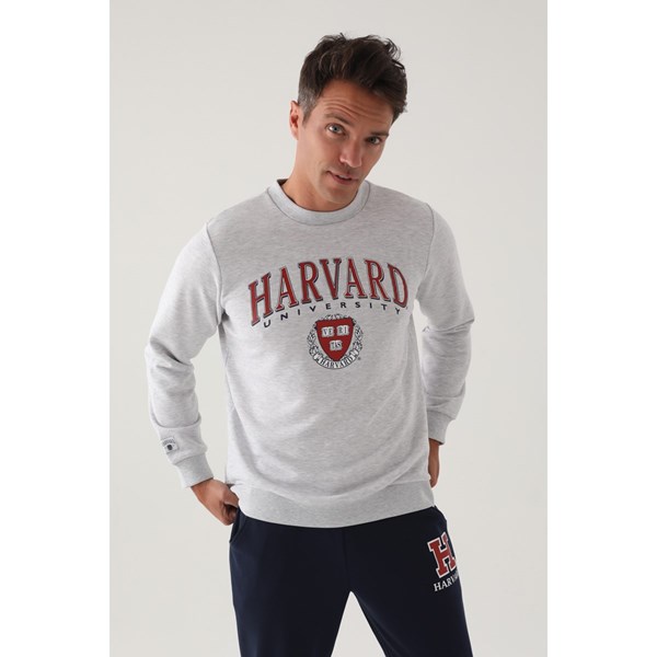 Erkek Sweatshirt HARVARD Eşofman Üst Sweatshirt Ürün Kodu: L1650-k melanj